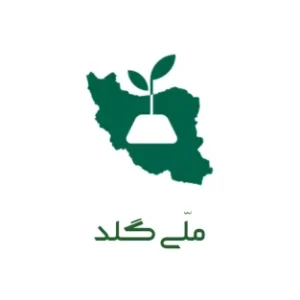 کد معرف ملی گلد